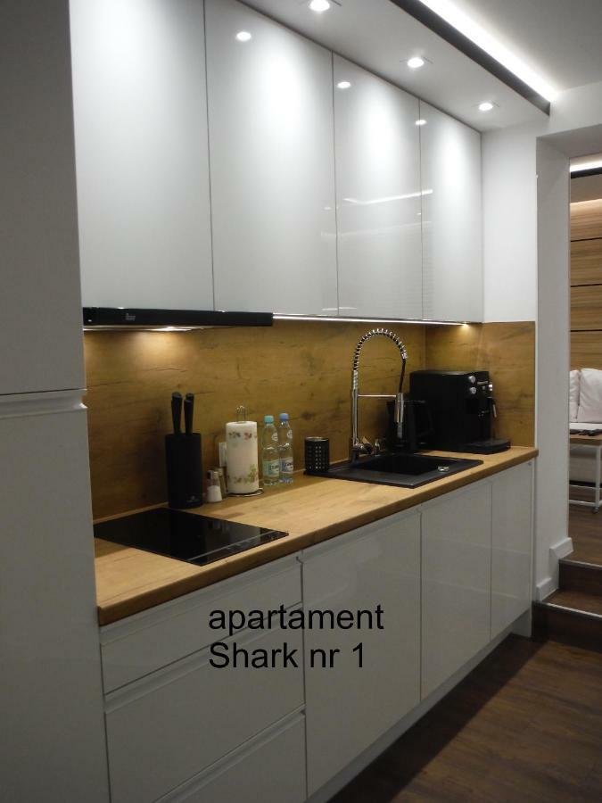 Apartamenty Shark Giżycko Kültér fotó